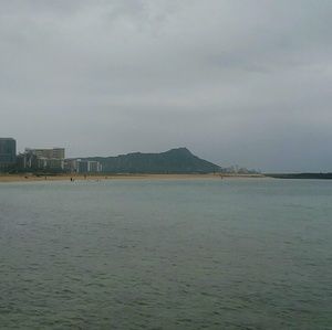 Meet your Posher, Mia